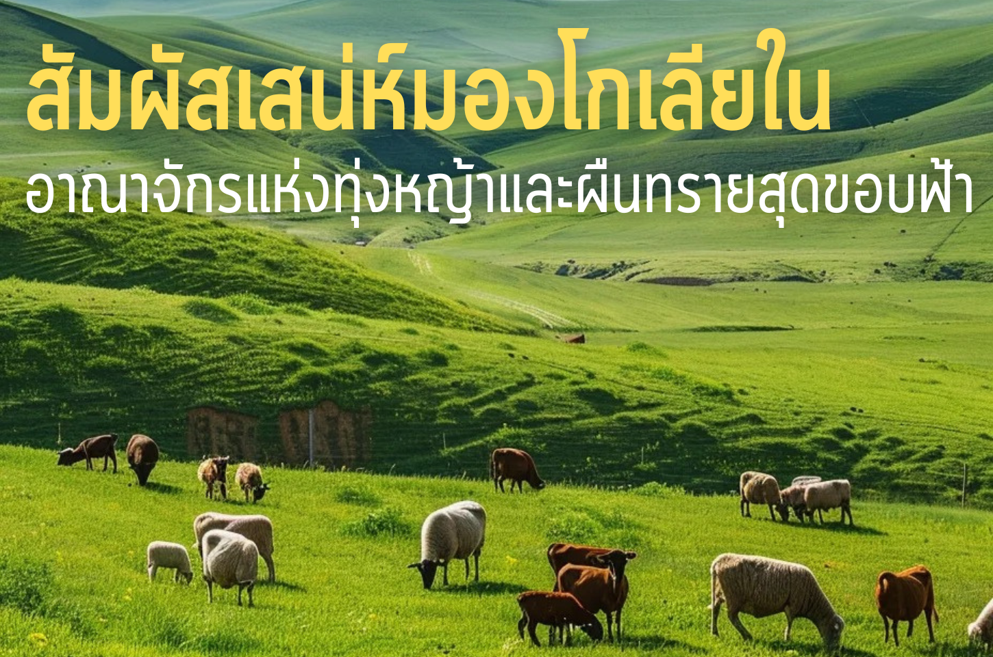 สัมผัสเสน่ห์ มองโกเลียใน อาณาจักรแห่งทุ่งหญ้าและผืนทรายสุดขอบฟ้า