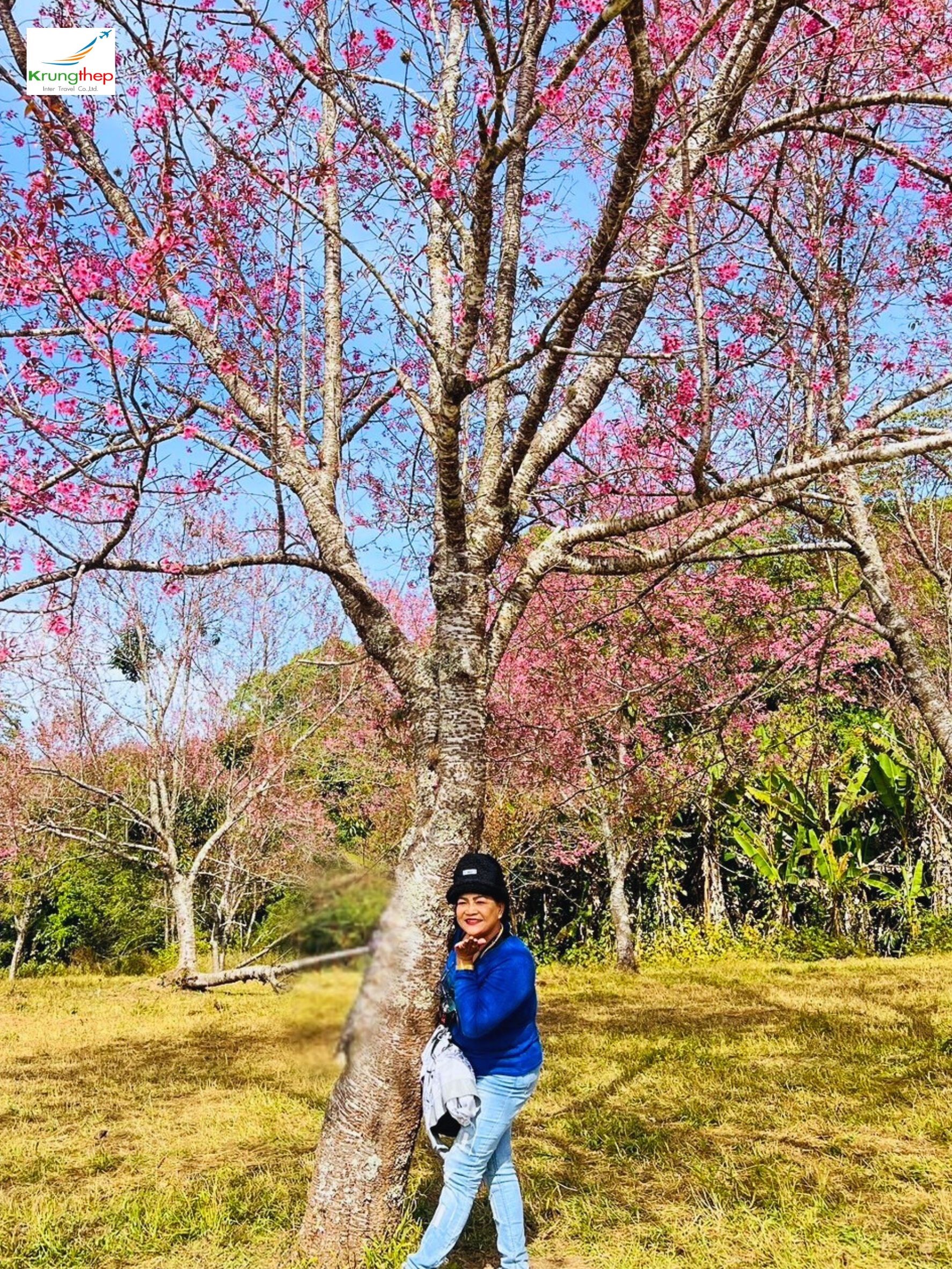 ภูลมโล อุทยานแห่งชาติภูหินร่องกล้า