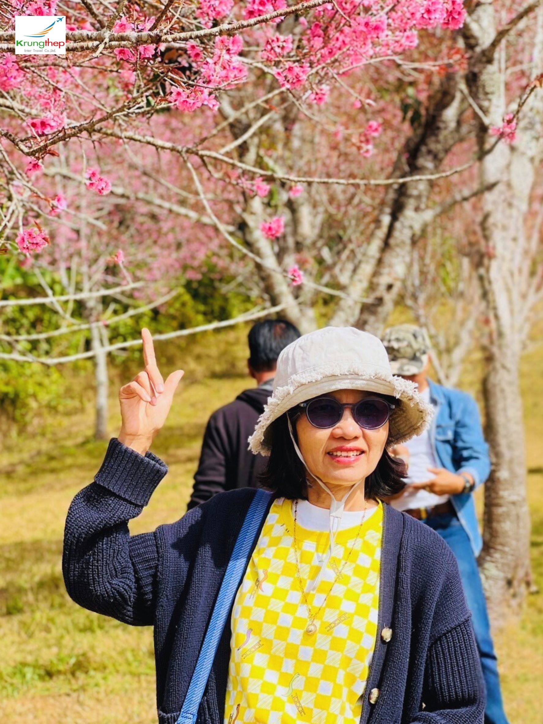 ภูลมโล อุทยานแห่งชาติภูหินร่องกล้า