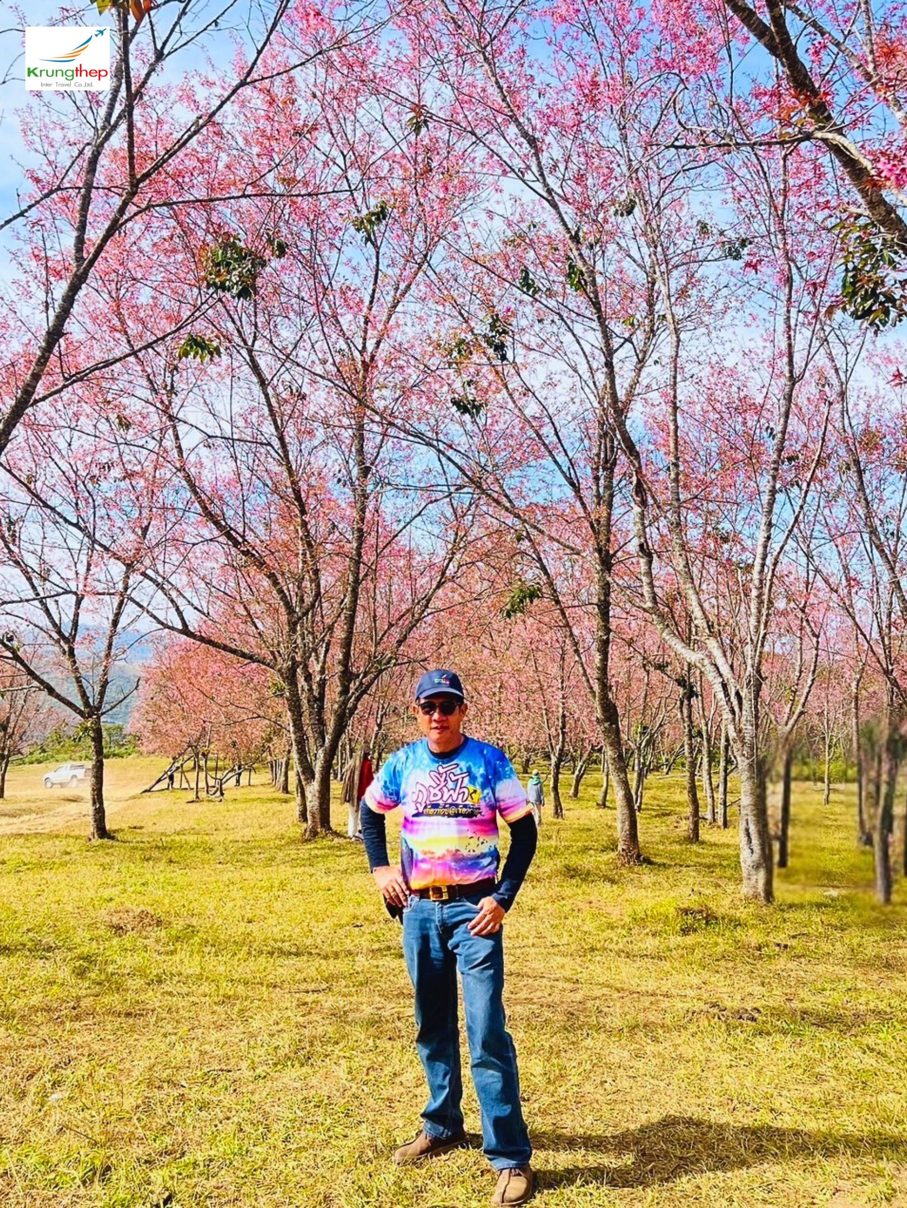 ภูลมโล อุทยานแห่งชาติภูหินร่องกล้า