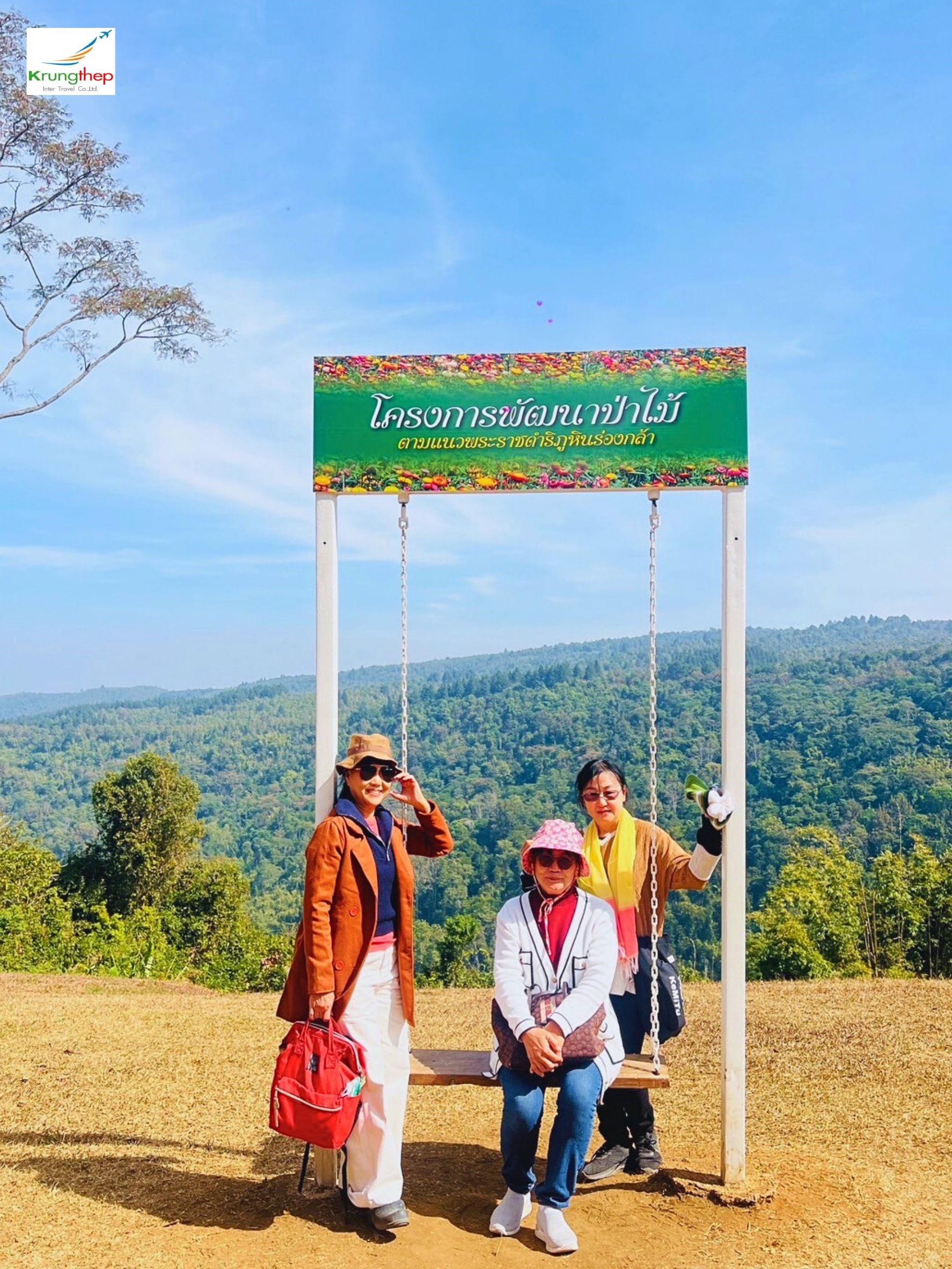 ทุ่งดอกกระดาษ อุทยานแห่งชาติภูหินร่องกล้า