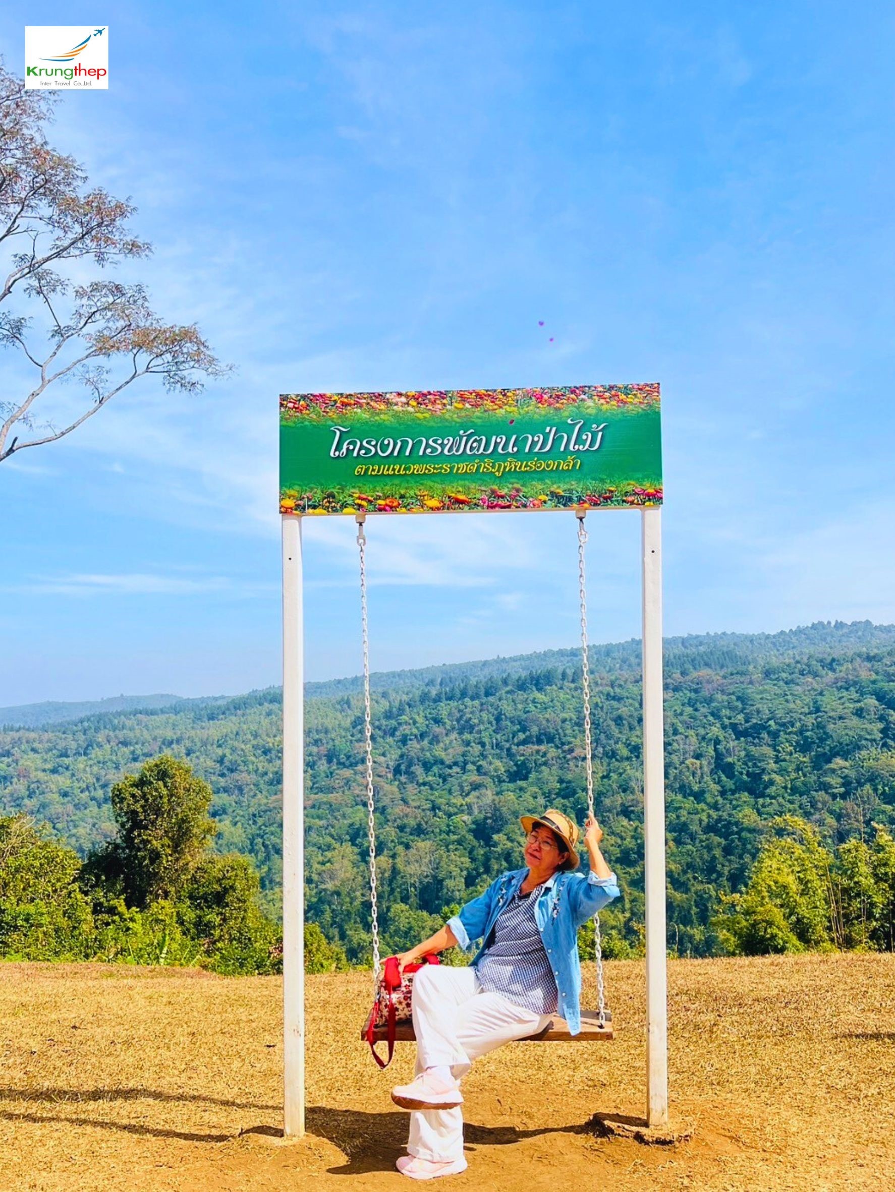 ทุ่งดอกกระดาษ อุทยานแห่งชาติภูหินร่องกล้า