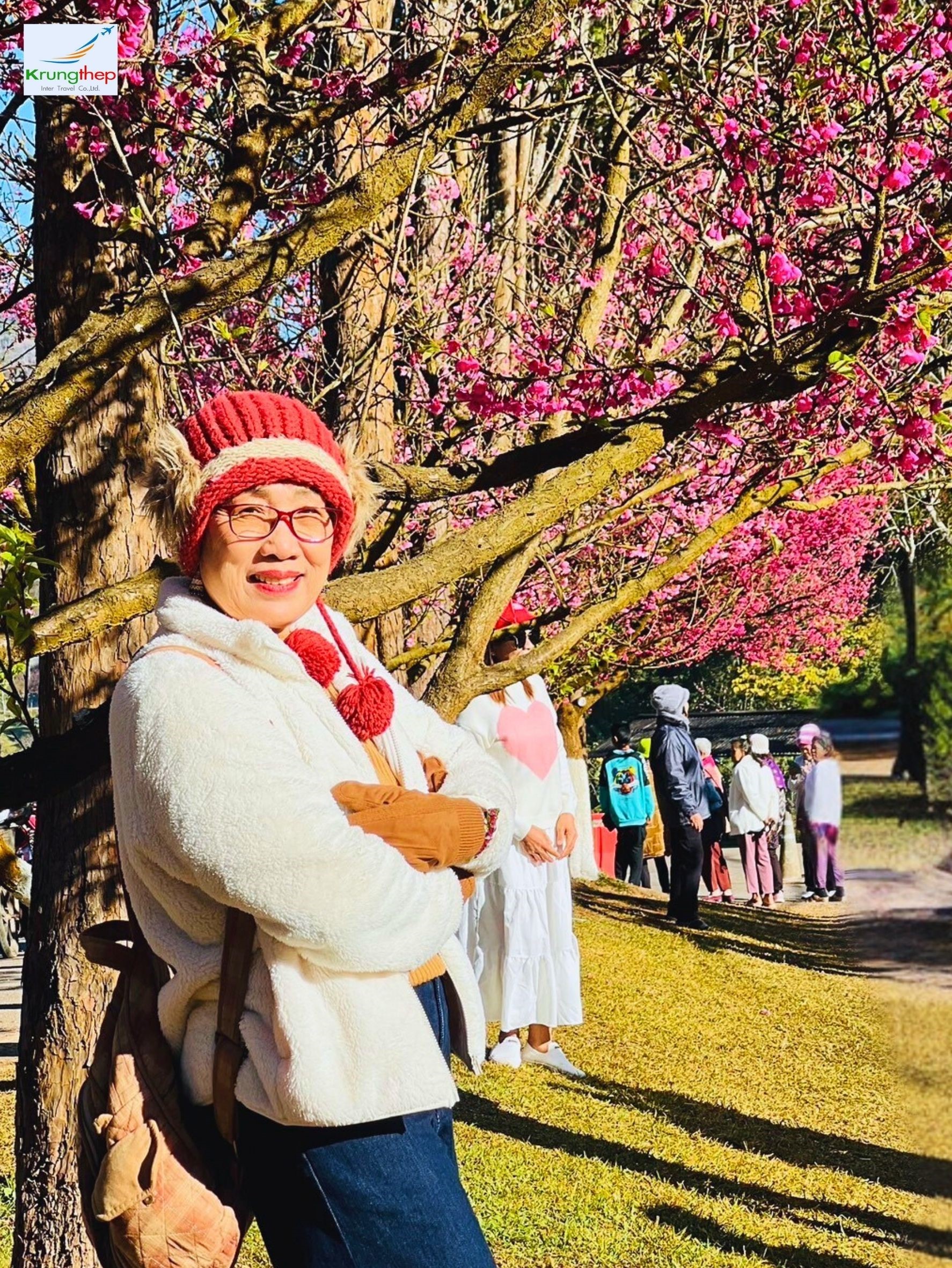 สวนซากุระญี่ปุ่น สถานีเกษตรหลวงดอยอ่างขาง