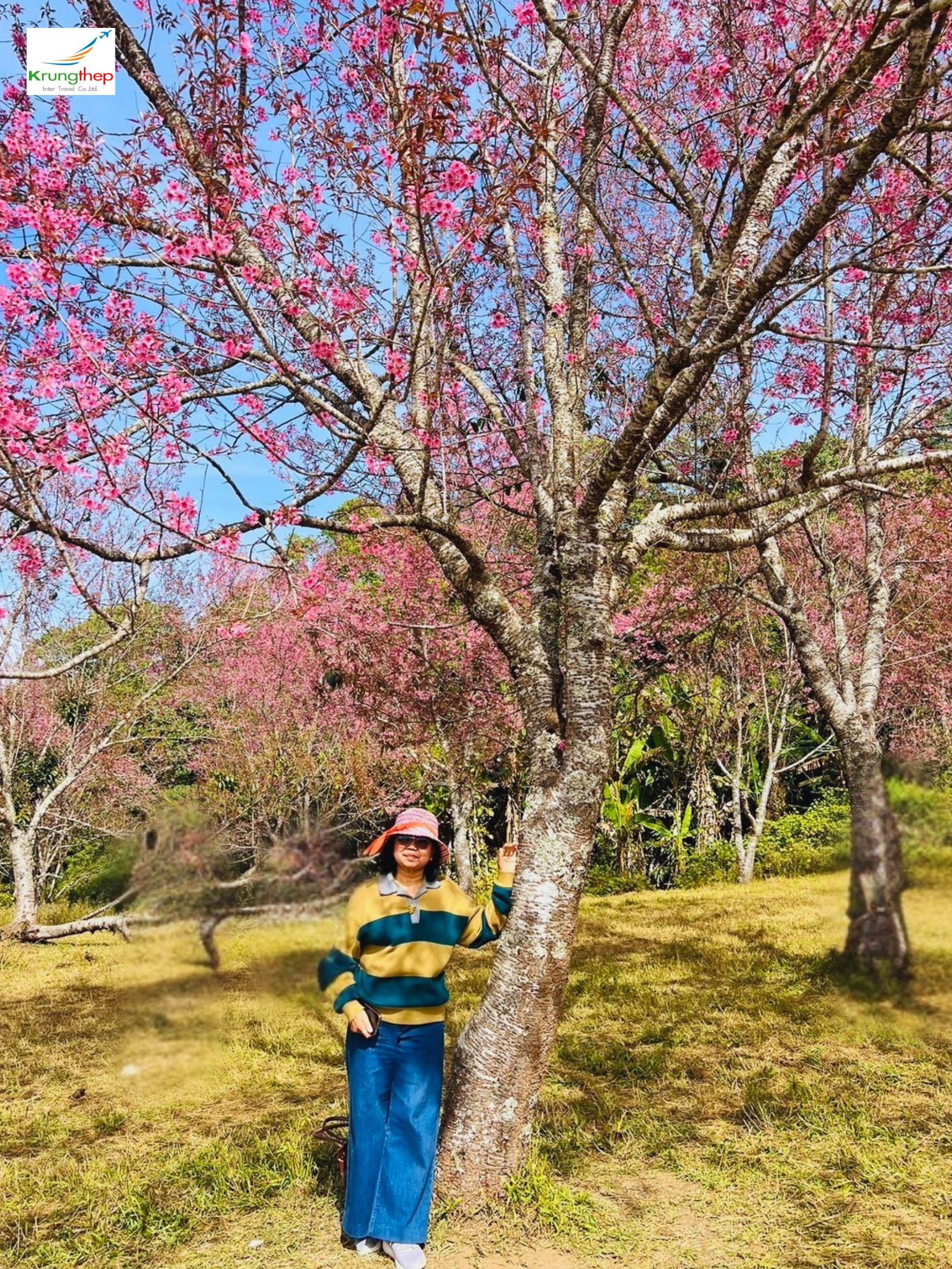 ภูลมโล อุทยานแห่งชาติภูหินร่องกล้า