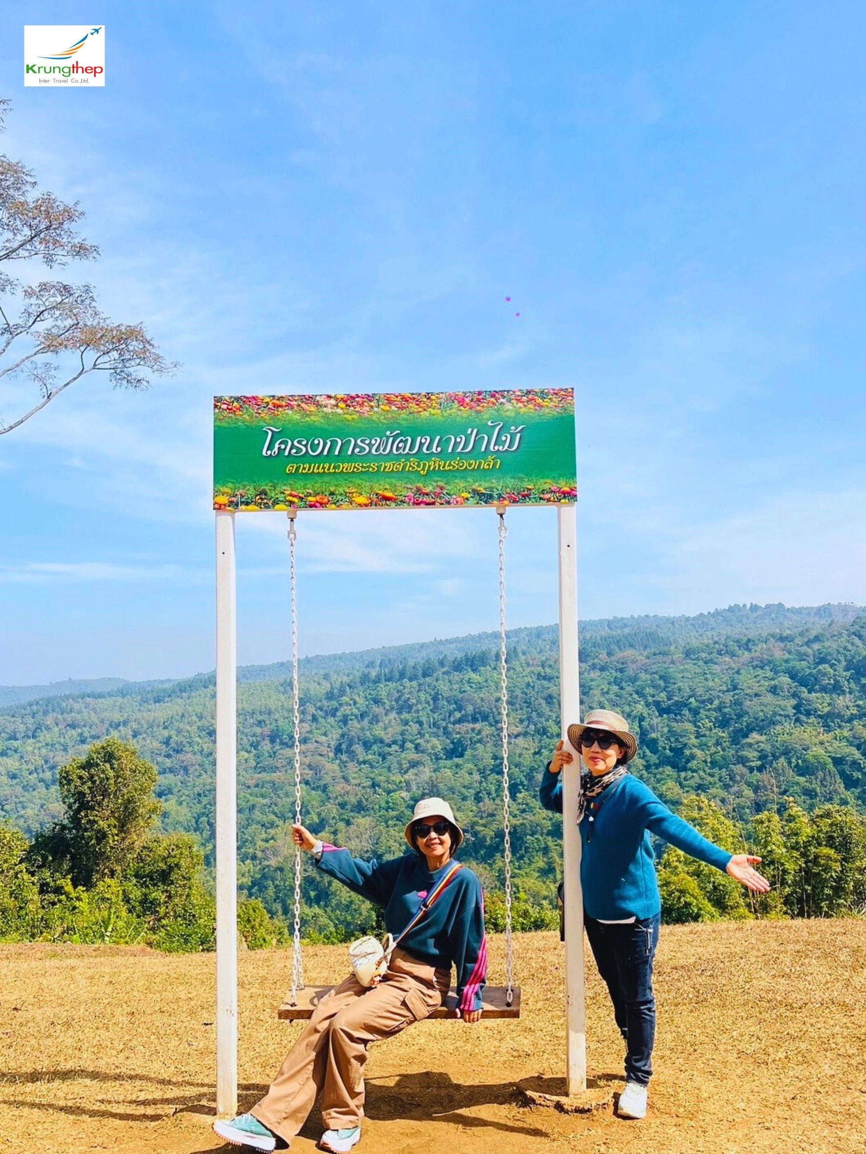 ทุ่งดอกกระดาษ อุทยานแห่งชาติภูหินร่องกล้า