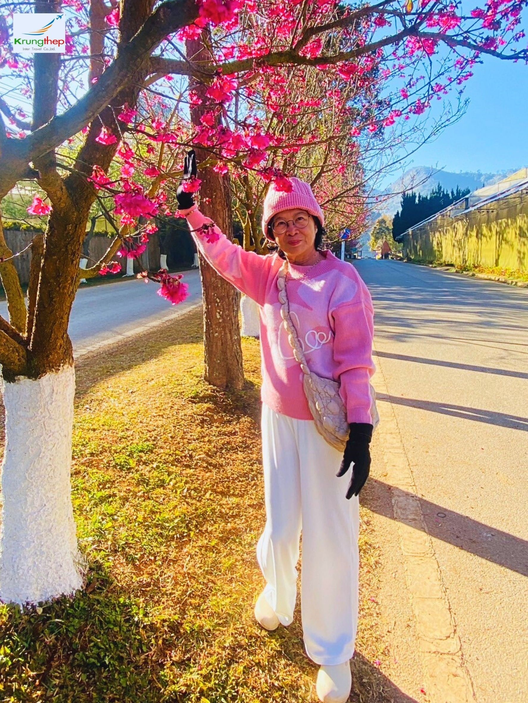 สวนซากุระญี่ปุ่น สถานีเกษตรหลวงดอยอ่างขาง