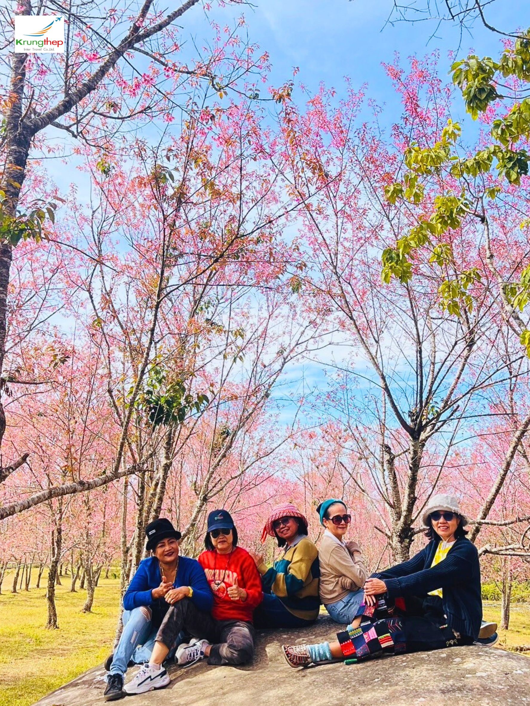 ภูลมโล อุทยานแห่งชาติภูหินร่องกล้า